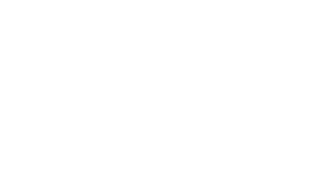 Tara Spinning Logo