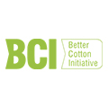 BCI logo