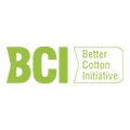 BCI logo